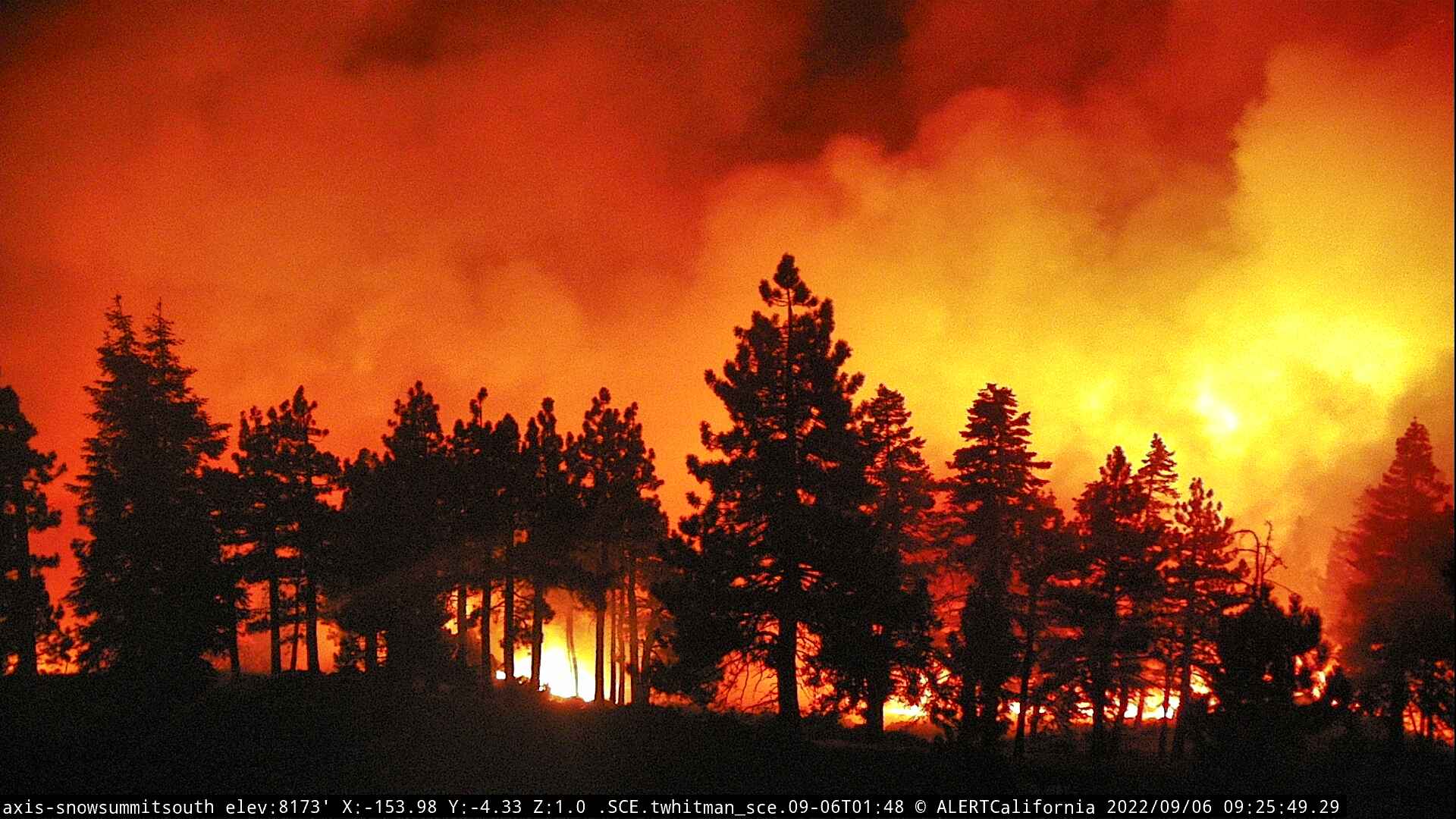 An ALERTCalifornia camera captures the image of a wildfire glowing red and orange silhouetting conifer trees dramatically in black.