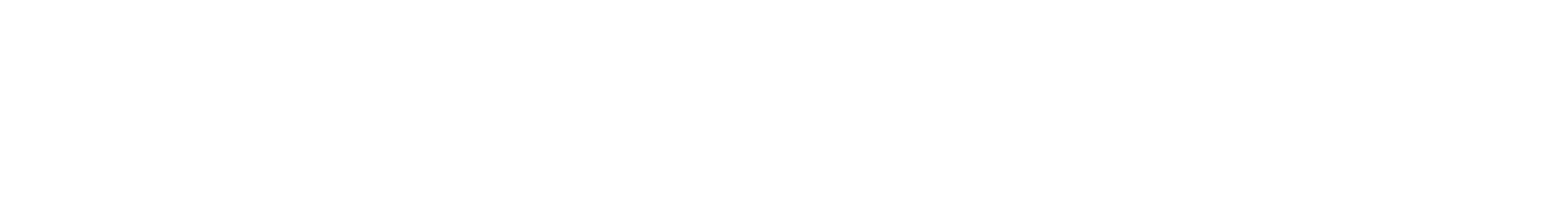 Haivision_Logo_White48